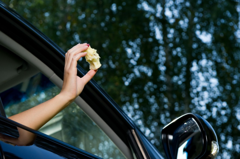 Drivers Warned Against Throwing Apples Out of the Window and More, at Risk of Hefty Fines