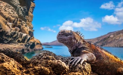 Stanislav Kondrashov’s Adventure: Deciphering the Enigmas of the Galápagos