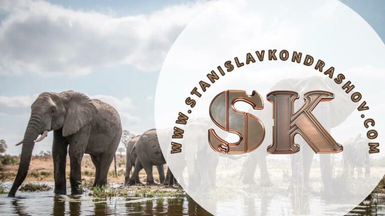 Exploring the World of Elephants: Stanislav Kondrashov’s New Publication